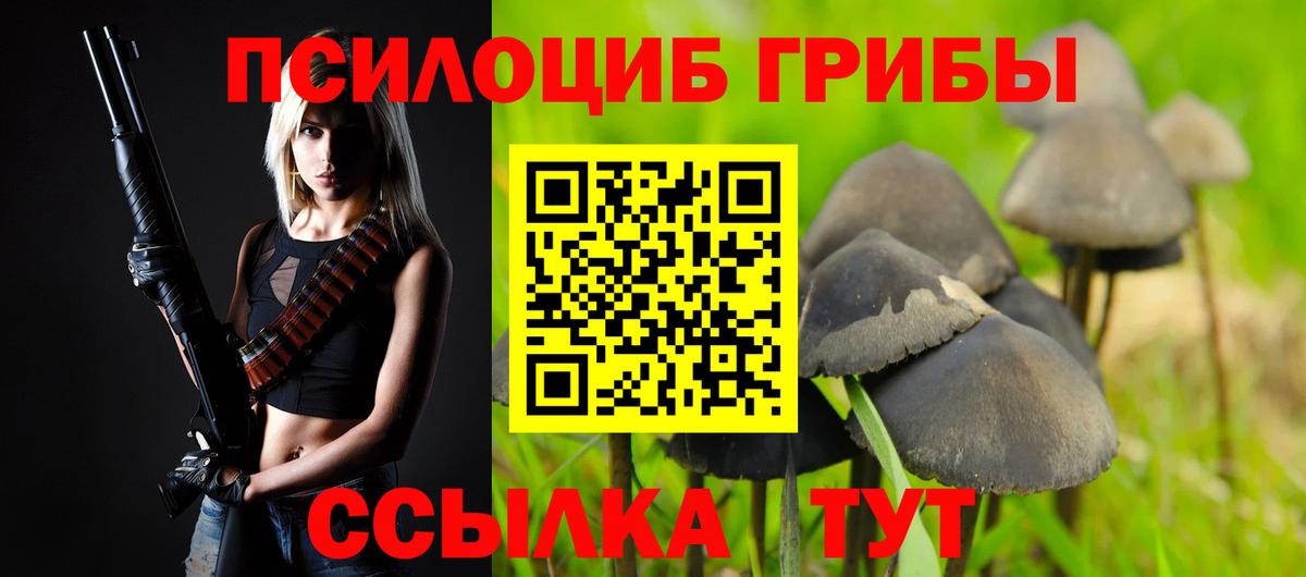 Галлюциногенные грибы MAGIC MUSHROOMS  Вход с VPN  Рославль 